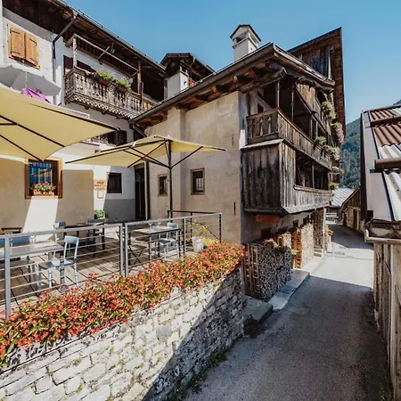 אורחן Nona Gio *