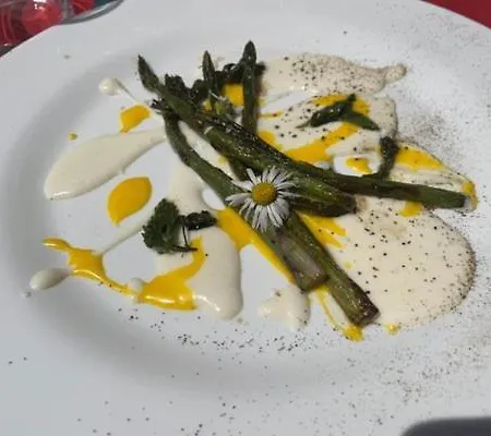 אורחן Nona Gio *