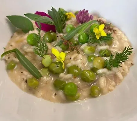 Nona Gio אורחן *